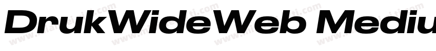 DrukWideWeb MediumIt字体转换